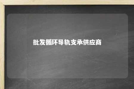 批发循环导轨支承供应商