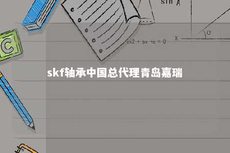 skf轴承中国总代理青岛嘉瑞 