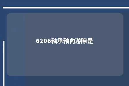 6206轴承轴向游隙是 