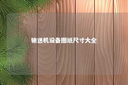 输送机设备图纸尺寸大全 